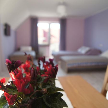Villa Terra Pruszcz Gdański Kültér fotó