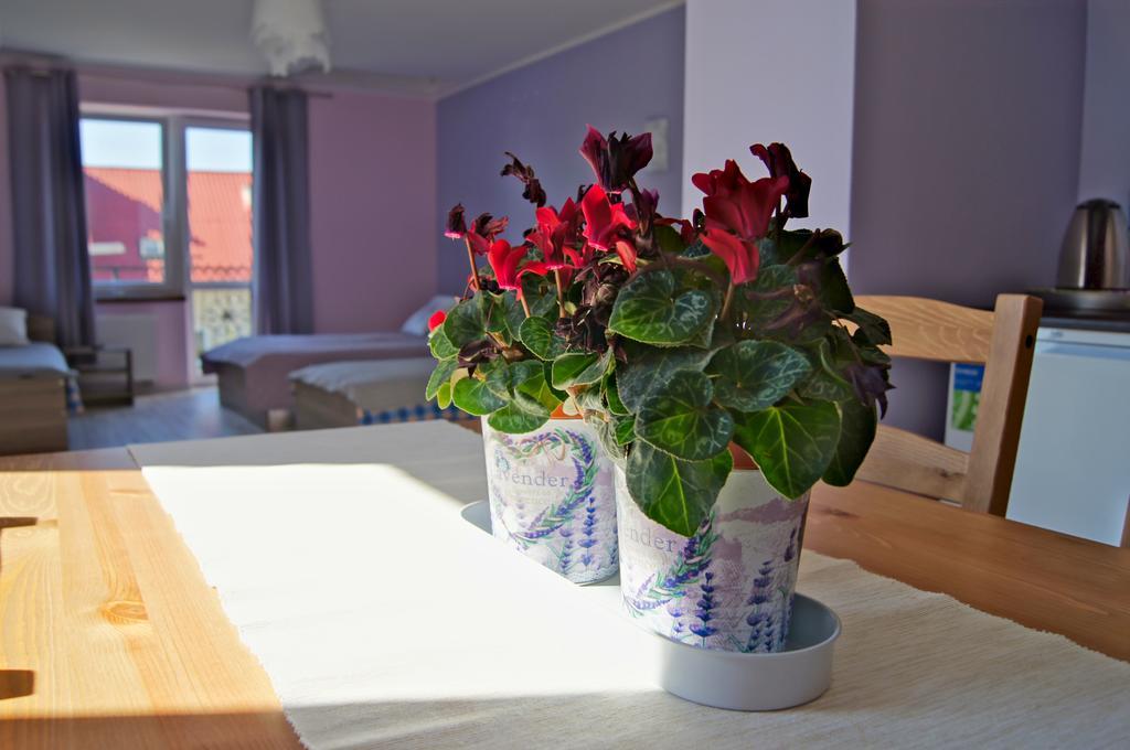Villa Terra Pruszcz Gdański Kültér fotó